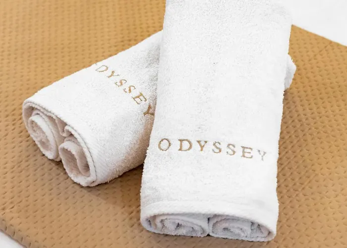 公寓 Odyssey - *